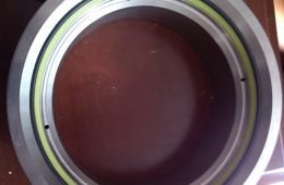 peek uesd for seal ring
